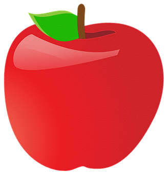 Finding Health Insurance Quotes - The Average Health Insurance Premiums