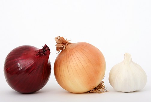 What Are 2010's Best Health Insurance Plans?