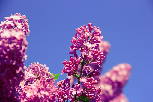 Swedish Massage: Alleviate Cramps Sooner