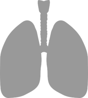 Us Health Insurance In Middle Age