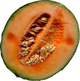 After A Gout Attack You Will Want A Treatment For Gout