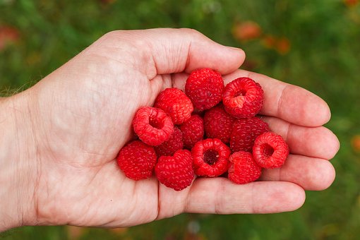Conventional Indian Herbs To Alleviate From Diabetes