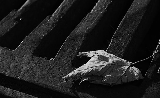 Anaerobic Treatment For Industrial Sewage