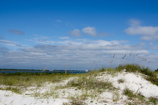 Tourists To Buy Insurance, To Distinguish The "travel Liability Insurance", And