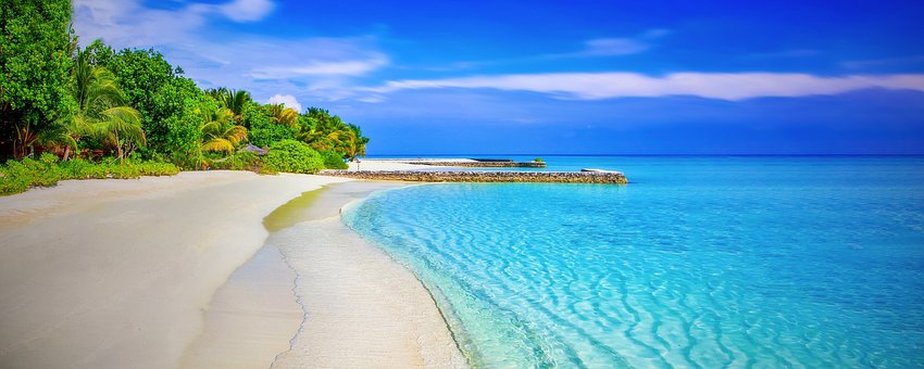 Travel Discounts Sunshine State Destination Magical City Of Orlando Popular Attractions Flight Optio