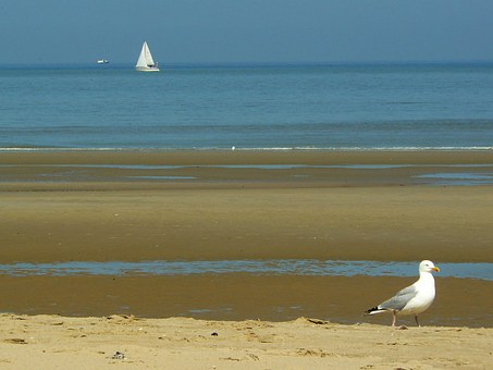 Search For Budget Hotel Deals In Montauk And Research On Well-renowned Sights And Festivals