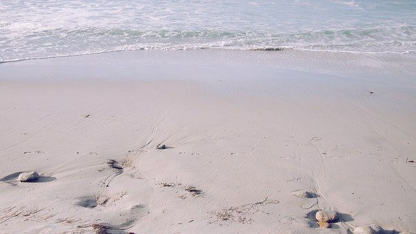 Cozumel Beach Budget Hotels To Take Advantage Of One A Memorable Journey Immediately