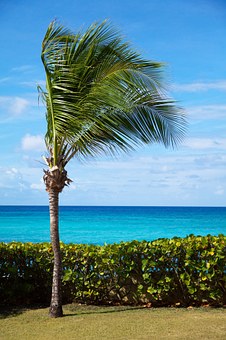 Paradise Punta Cana International Getaway Ideas Suites Low Rates Gastronomical Treats And Hot Spots