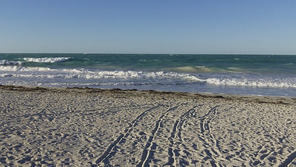 A Optimum Sightseeing Suggestions To Having A Ideal Holiday At Puerto Vallarta, Mexico