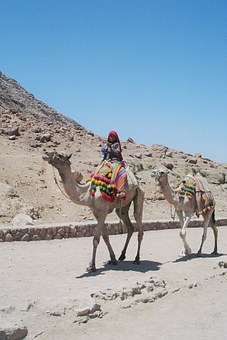 Informative Group Traveler Tips About Looking For Offers And Discounts On Beijing Airfare And Other