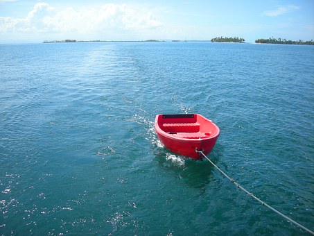 The Professional's Simple Reference Pro Traveler Proposing To Set Off On The Caribbean Cruise