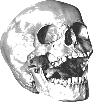 Vampire Craze Not Missed by Halloween Invitations Leader
