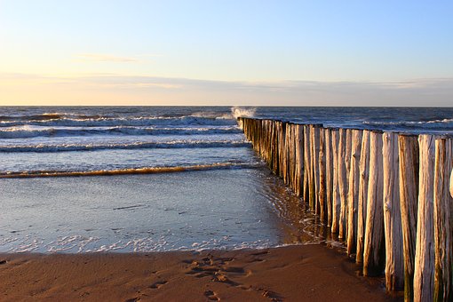 Dazzling Directions To Save Notes On Sunshine State, Florida Apartments For Travelers Plus Enjoy Fam