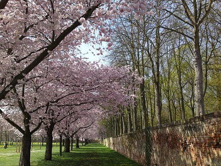 Leading ten Need to-Haves for Spring Fashion: From Fedoras to Stuhrling Watches