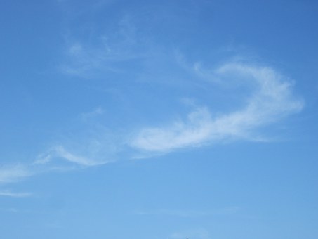 Our World, Our Climate