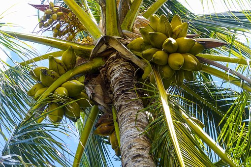 A Superb Honeymooners Recommendations In Experiencing A Amazing Travel In Veracruz