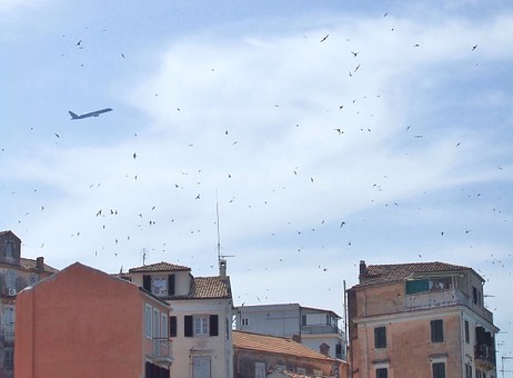 City Of Rome Greatest Relax Guide: Places To Stay, Eating Places, Leisure, And Sights