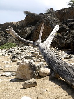 The Wonderful Tourist Points To Searching The Amazing Travel In Mexico