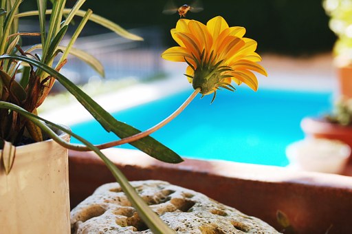 How Anyone Can Make Money From Travel Writing