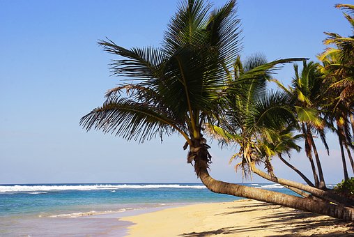 Traveller Along With Help For Peak-deals Along With Amazing Stays While Booking Cheap Chicago Hotel