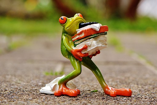 Requirements for Ecommerce Web Solutions
