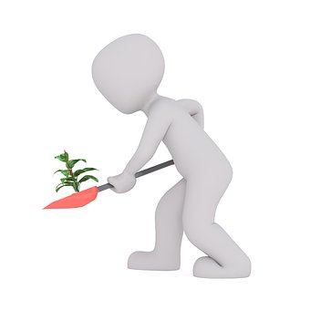 Finding Your Ideal Home Business