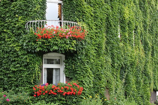 How To Start A House Cleaning Business: Choosing Your Services