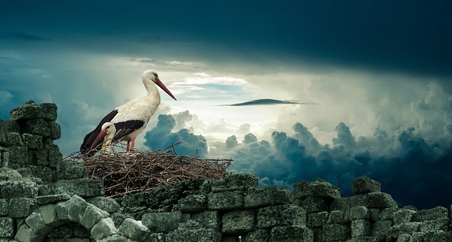 Building a Successful Home Business