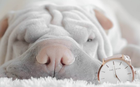 Air Conditioning Systems Are The First Step To A Comfortable Home