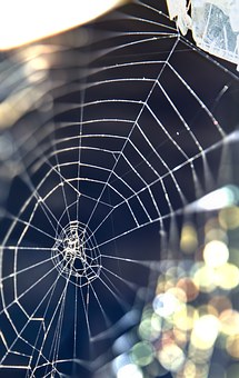 Transitioning From In-house Operations To Sales Recruiters