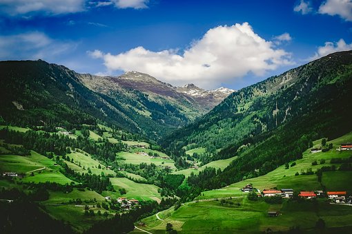 Reverse Mortgage Insurance