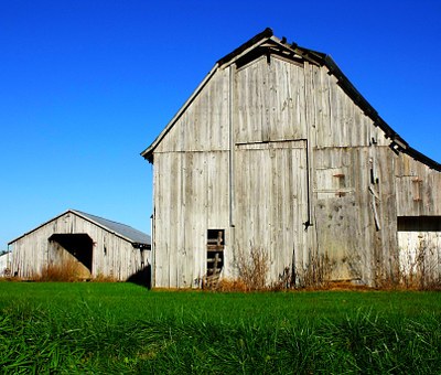 Wealth Building - How to Make Money Fast