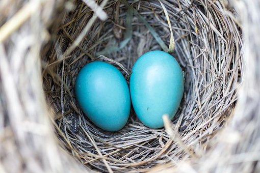 Mortgage Lenders Are Easier Than Ever To Find