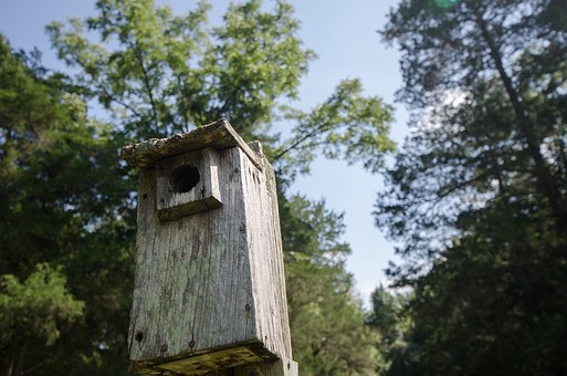 Secret Ways You Can Save Money On Home Insurance