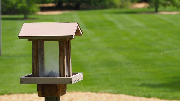 Where Can You Get Cool Dog Houses?