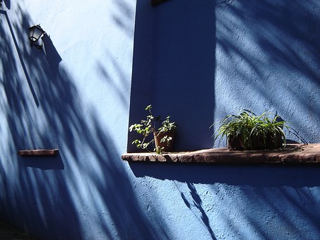 Insurance 101 for Homeowners
