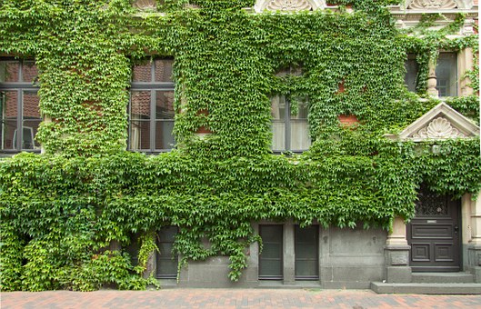 Ensure You Have Enough Home Buildings And Contents Insurance Cover