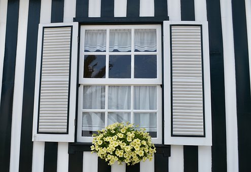 Managing Expectation-- Determining The Particular Losses That Your Home Insurance In Louisiana Will
