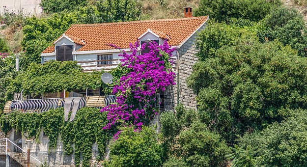 Home Insurance: A Brief Step by Step Guide