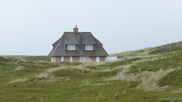 How To Save Money On Your Homeowners Insurance