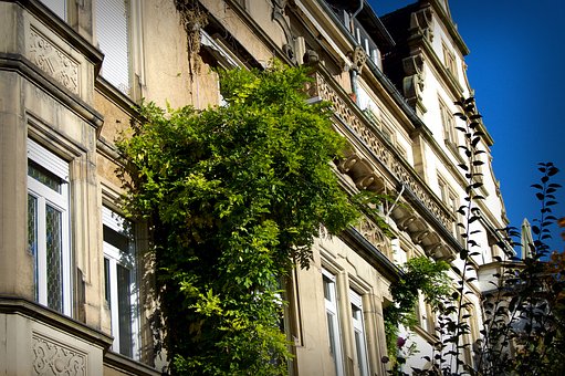 The Top Five Reasons For Home Insurance Geico Claims