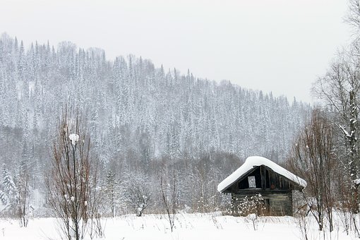 House insurance: Cover for the great outdoors