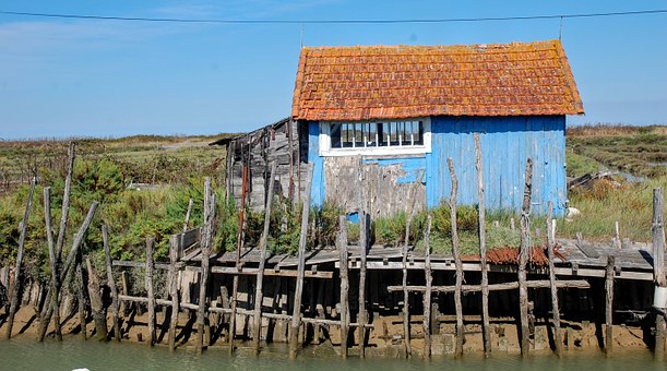 After fire or water destroys your home or business, Should you Fight or Dance with the Insurance Company Adjuster?