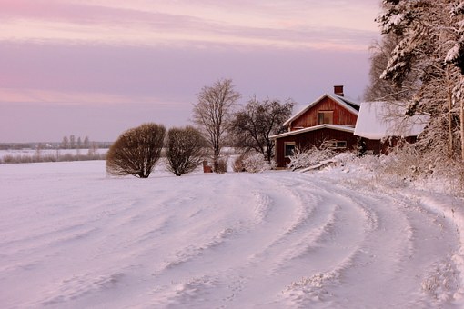 Do You Actually Need Home Insurance Plan? Discover Now!