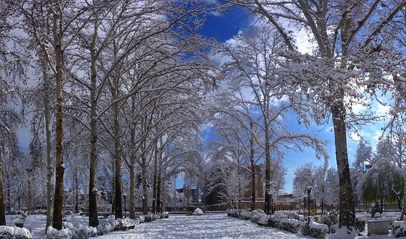 How much does homeowners insurance cost in Colorado insurance?