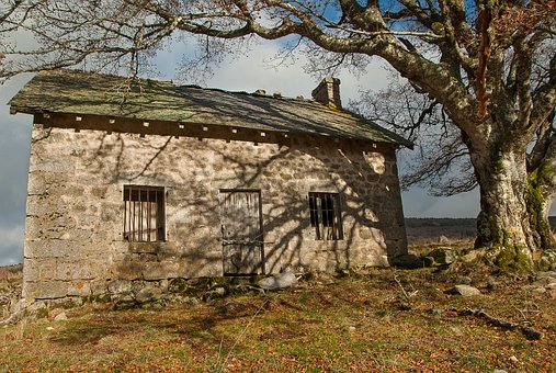 A Dummy's Guide To Home Insurance Quotes