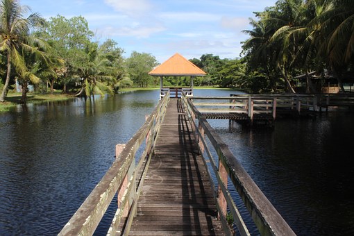 Factors To Consider When Binding Home Insurance In Florida