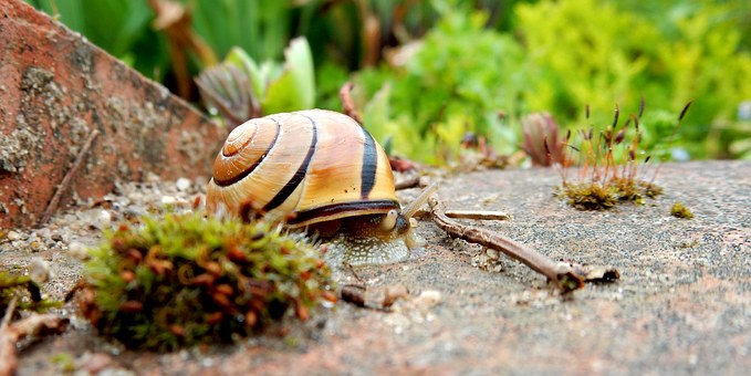 Items Not Covered By Your Homeowners Insurance