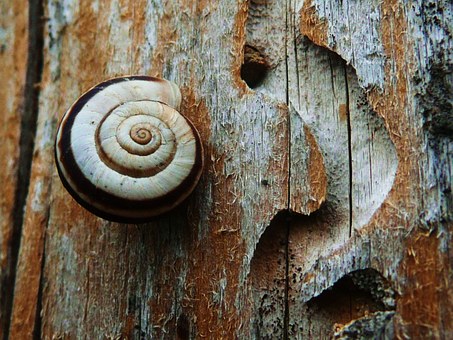 Repairs To Avoid When Rehabbing Houses