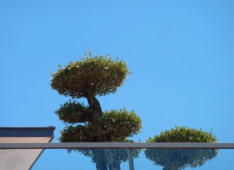 NJ Home Insurance – The Importance Of It And Ways To Save
